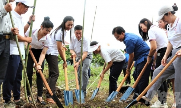 Planting bamboo for a sustainable Southwest region